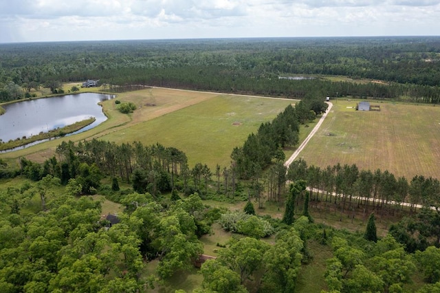 35 Tyler Rd, Naylor, GA 31641 - aerial overview of property's location with a heavily wooded area and a large body of water