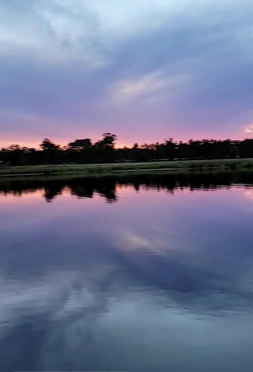 35 Tyler Rd, Naylor, GA 31641 - water view