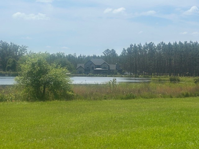 35 Tyler Rd, Naylor, GA 31641 - view of yard featuring a water view and a wooded view