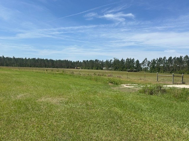 35 Tyler Rd, Naylor, GA 31641 - view of yard with a view of countryside and a wooded view