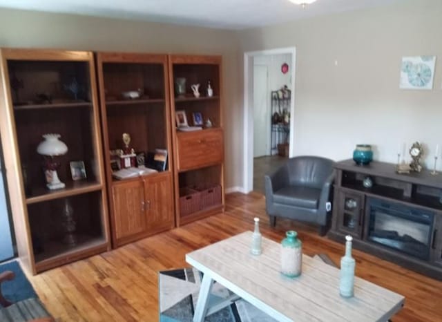 living room featuring hardwood / wood-style floors