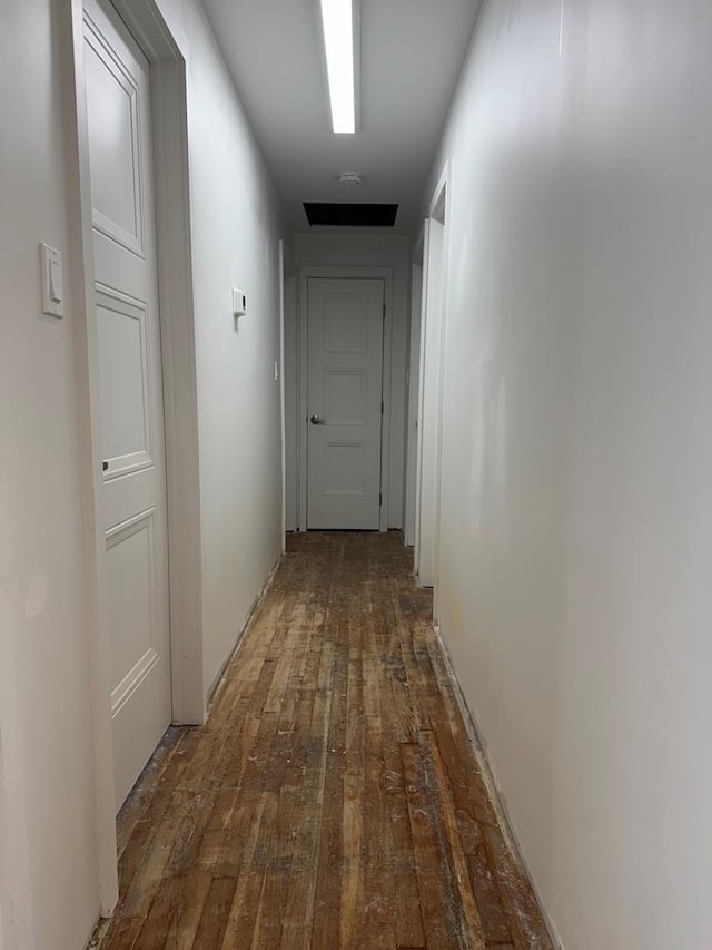 hallway with wood-type flooring