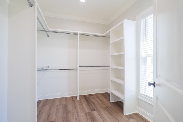 3376 Bemiss Knights Academy Rd, Valdosta, GA 31605 - spacious closet with wood finished floors