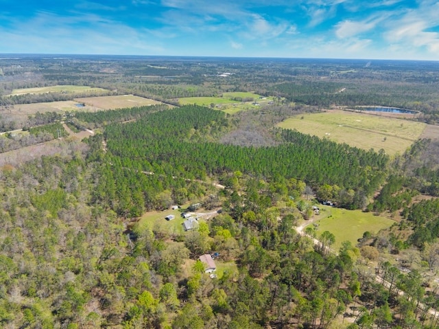 74ACRE Skipper Bridge Rd, Hahira, GA 31632