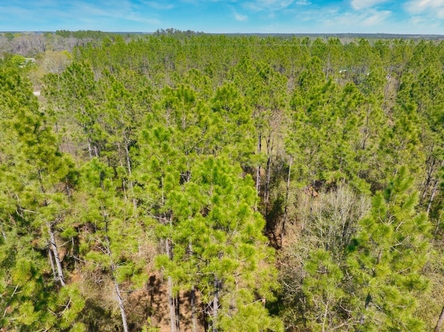 74ACRE Skipper Bridge Rd, Hahira, GA 31632