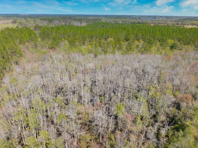 74ACRE Skipper Bridge Rd, Hahira, GA 31632