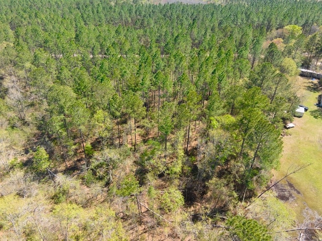 74ACRE Skipper Bridge Rd, Hahira, GA 31632