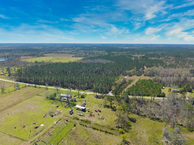 74ACRE Skipper Bridge Rd, Hahira, GA 31632