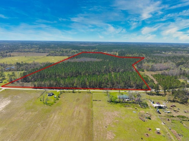 74ACRE Skipper Bridge Rd, Hahira, GA 31632