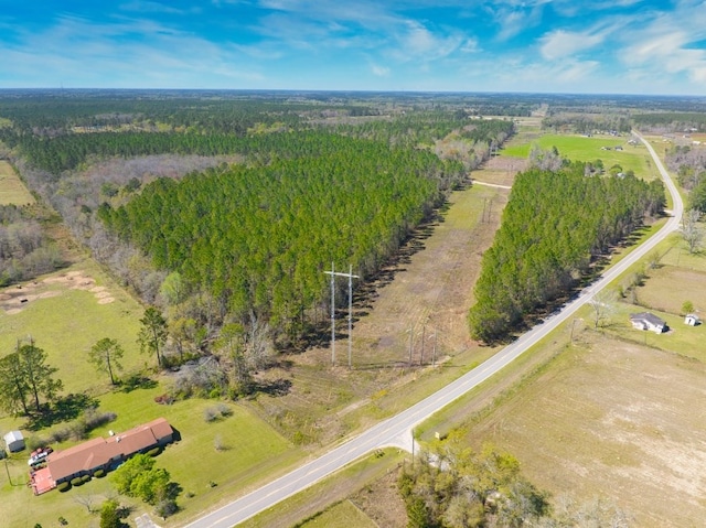 74ACRE Skipper Bridge Rd, Hahira, GA 31632