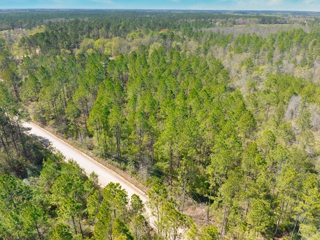 74ACRE Skipper Bridge Rd, Hahira, GA 31632