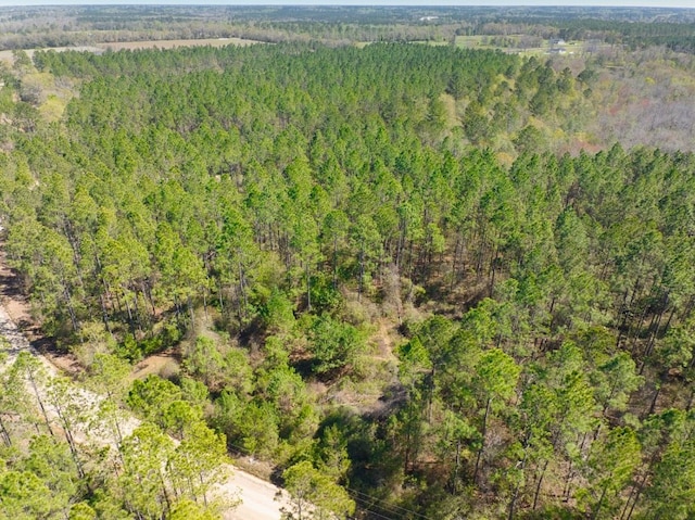 74ACRE Skipper Bridge Rd, Hahira, GA 31632
