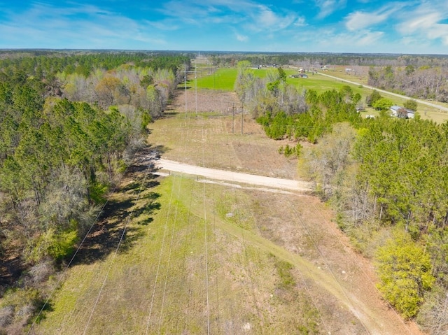 74ACRE Skipper Bridge Rd, Hahira, GA 31632