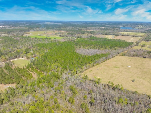 74ACRE Skipper Bridge Rd, Hahira, GA 31632