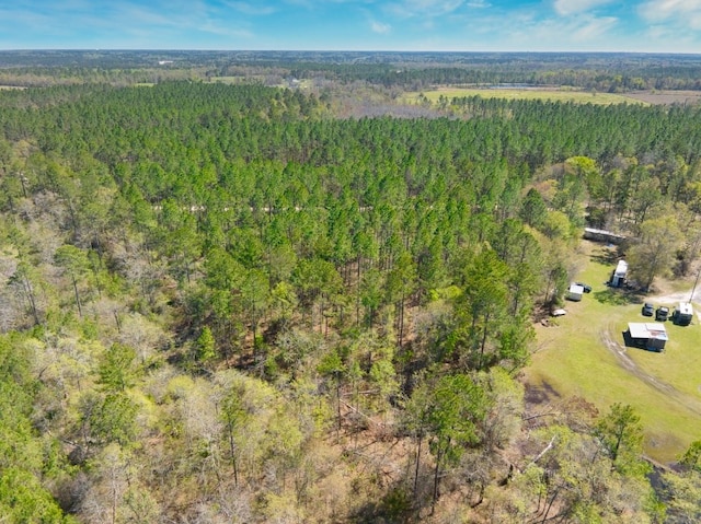 74ACRE Skipper Bridge Rd, Hahira, GA 31632