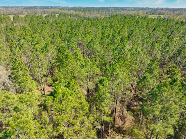 74ACRE Skipper Bridge Rd, Hahira, GA 31632