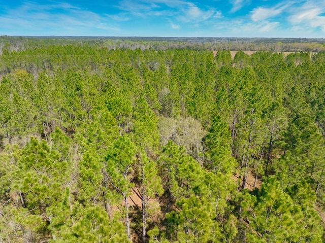 74ACRE Skipper Bridge Rd, Hahira, GA 31632