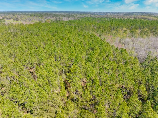 74ACRE Skipper Bridge Rd, Hahira, GA 31632