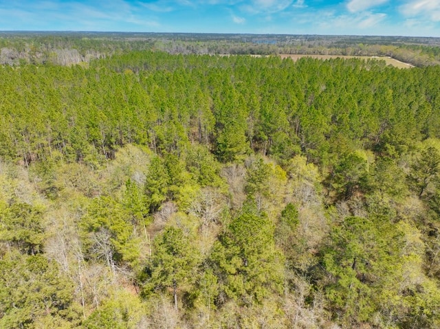 74ACRE Skipper Bridge Rd, Hahira, GA 31632