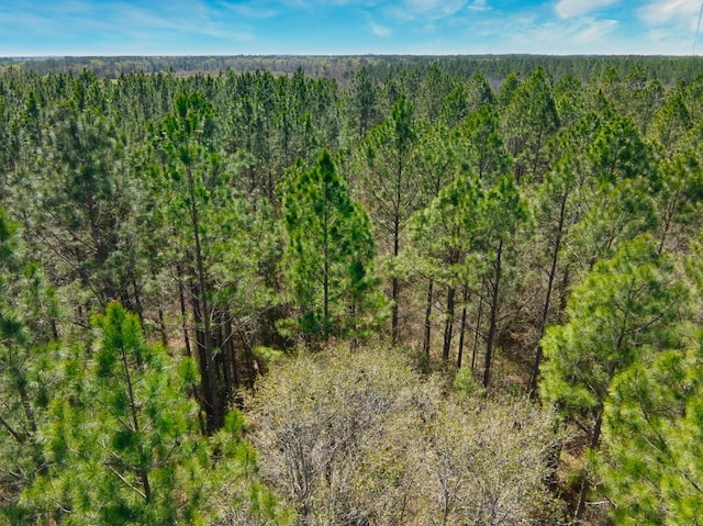 74ACRE Skipper Bridge Rd, Hahira, GA 31632