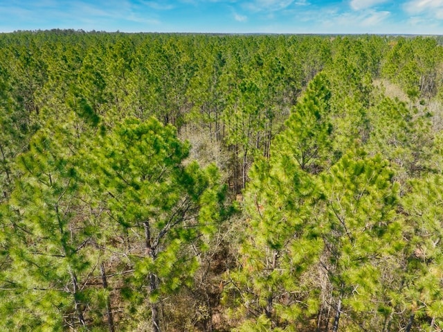 74ACRE Skipper Bridge Rd, Hahira, GA 31632