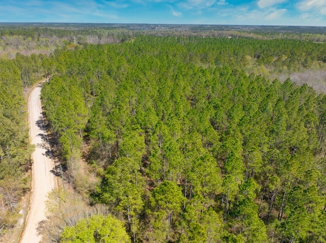 74ACRE Skipper Bridge Rd, Hahira, GA 31632