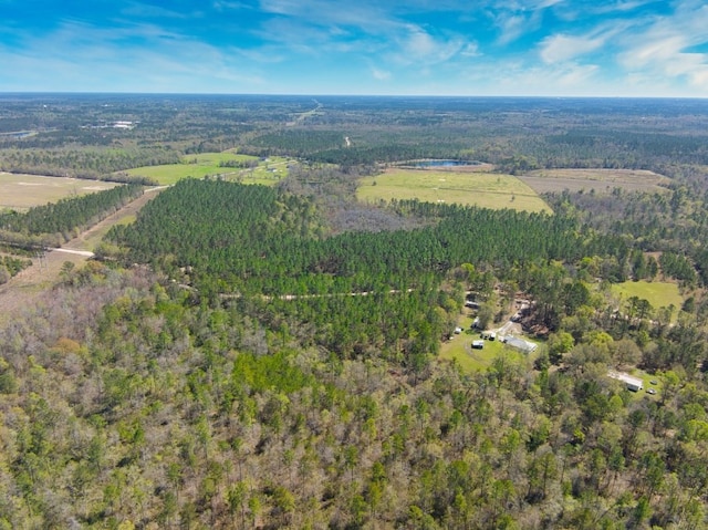 74ACRE Skipper Bridge Rd, Hahira, GA 31632