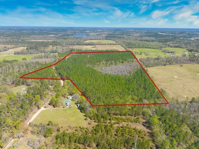 74ACRE Skipper Bridge Rd, Hahira, GA 31632