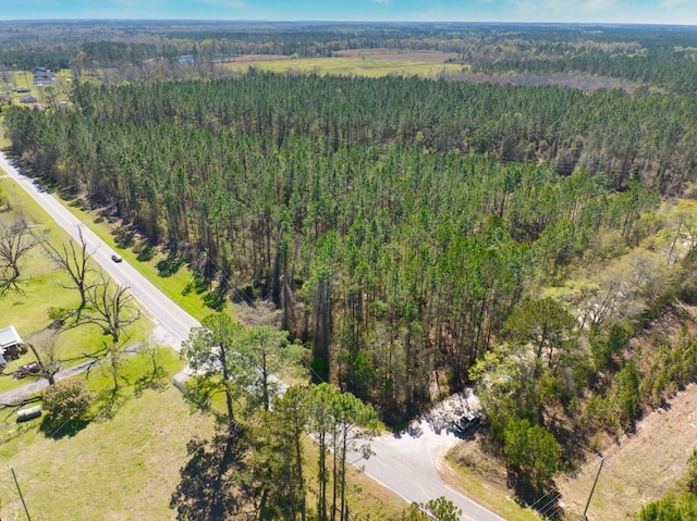 74ACRE Skipper Bridge Rd, Hahira, GA 31632