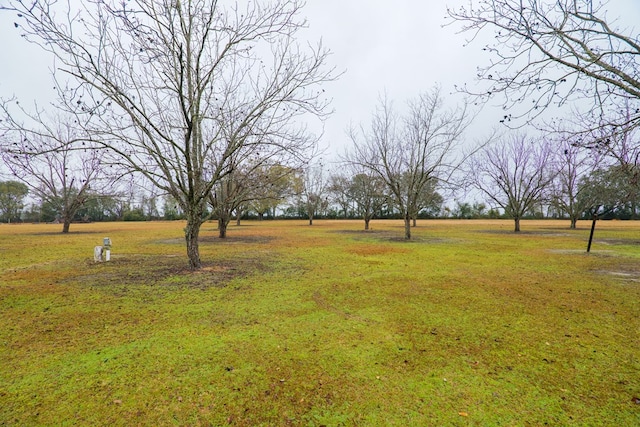 5460 Union Rd, Hahira, GA 31632 - photo 79