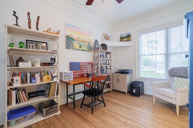 office with ornamental molding, light hardwood / wood-style floors, and ceiling fan