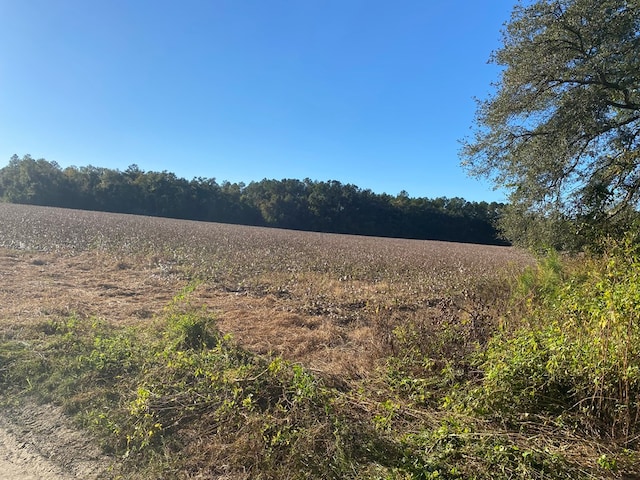 0000 Hamlin Rd, Quitman, GA 31643 - photo 5