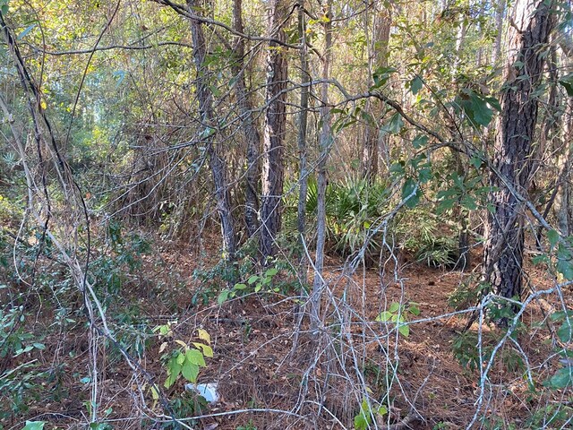 0000 Hamlin Rd, Quitman, GA 31643 - photo 2