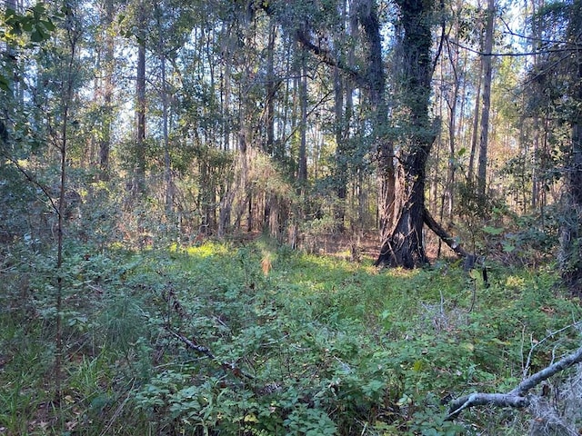 0000 Hamlin Rd, Quitman, GA 31643 - photo 1