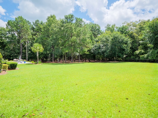 4128 Spring Branch Cir, Valdosta, GA 31601 - photo 82