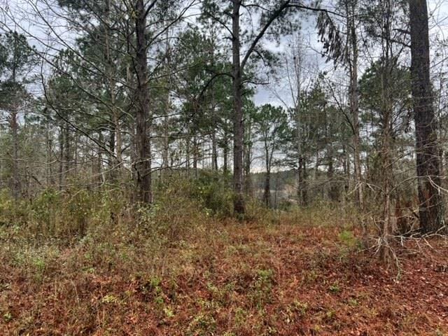 Listing photo 3 for 00 Claybank Dr, Quitman GA 31643