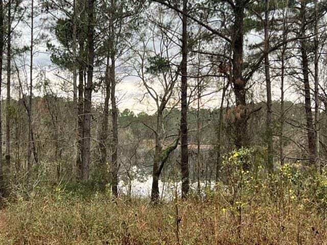 Listing photo 2 for 00 Claybank Dr, Quitman GA 31643