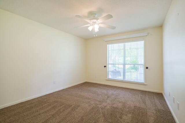 3813 Winchester Pl, Valdosta, GA 31602 - photo 23