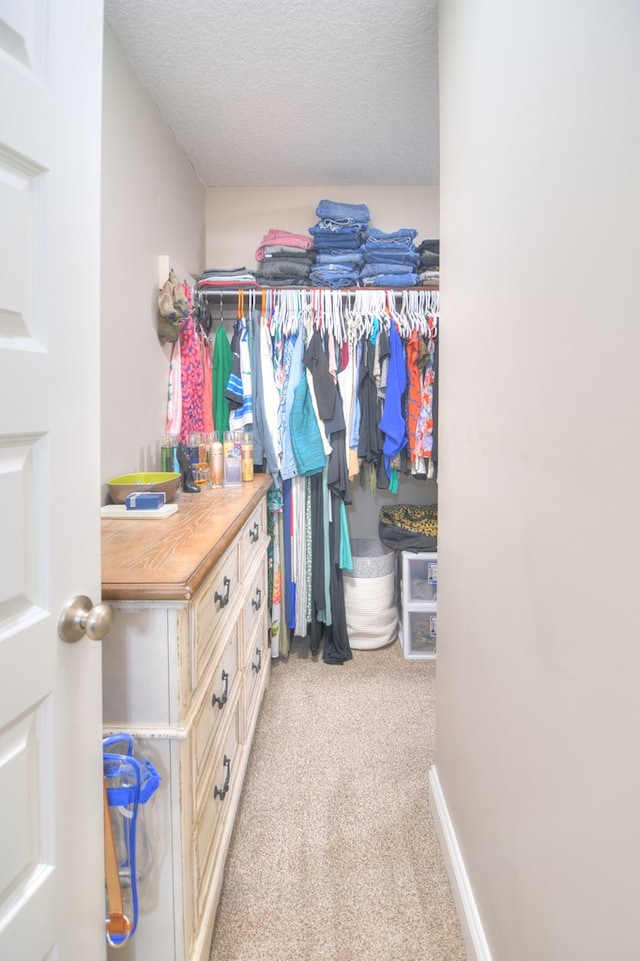 walk in closet with light carpet