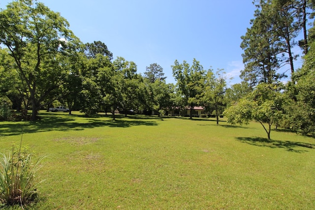 view of property's community with a lawn