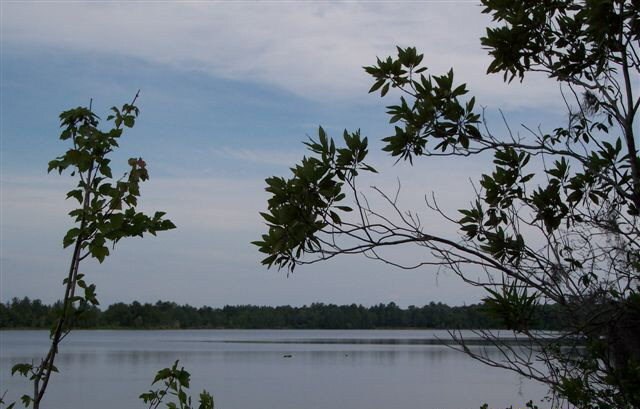 LOT41 Natures Way, Naylor, GA 31641