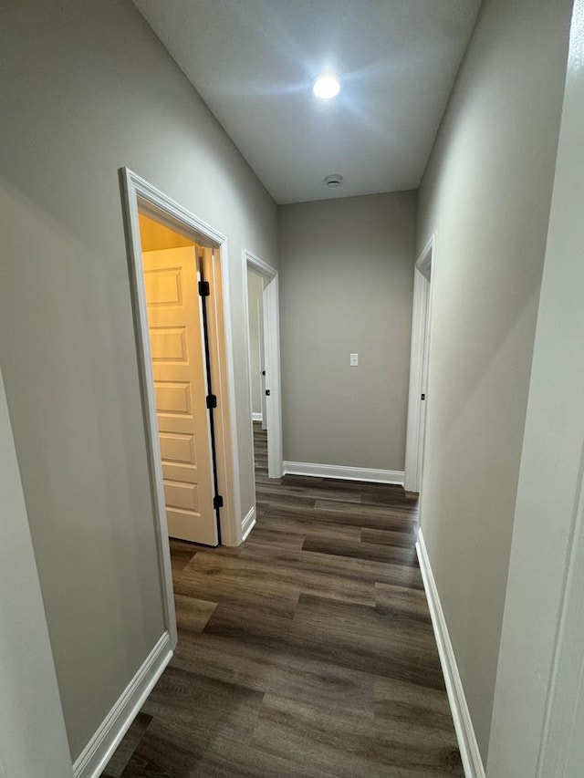 hall with dark wood-type flooring