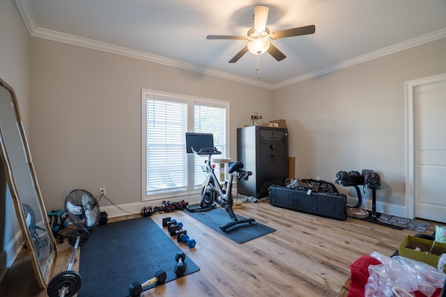 exercise area with hardwood / wood-style floors, ceiling fan, and crown molding