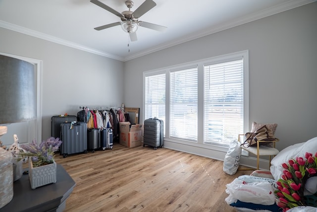 miscellaneous room with light wood-type flooring, ceiling fan, and crown molding