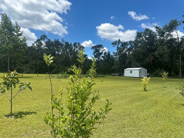 1533 River Rd, Lakeland, GA 31635 - photo 13
