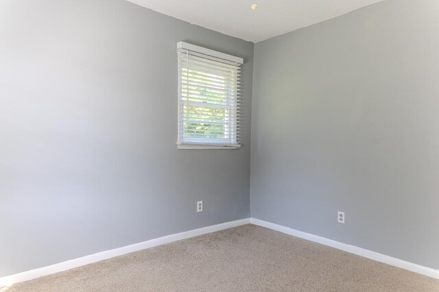 4006 Mulberry Pl, Valdosta, GA 31605 - photo 23