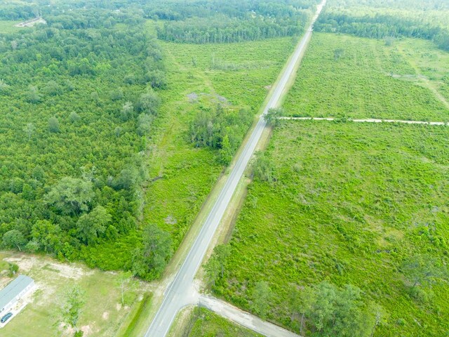 TBA US Highway 129, Stockton GA, 31649 land for sale