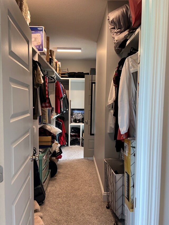 spacious closet with light colored carpet