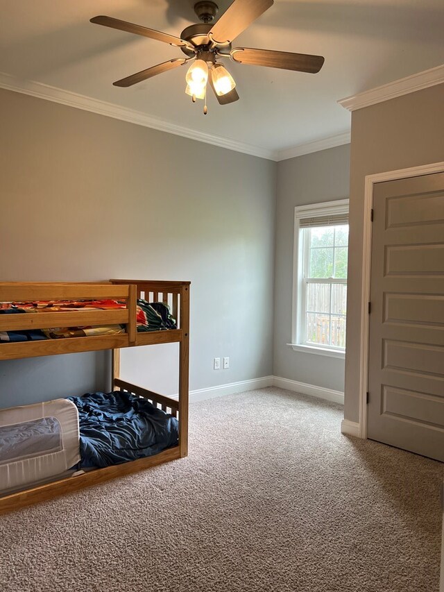 unfurnished bedroom with ceiling fan, carpet floors, and crown molding