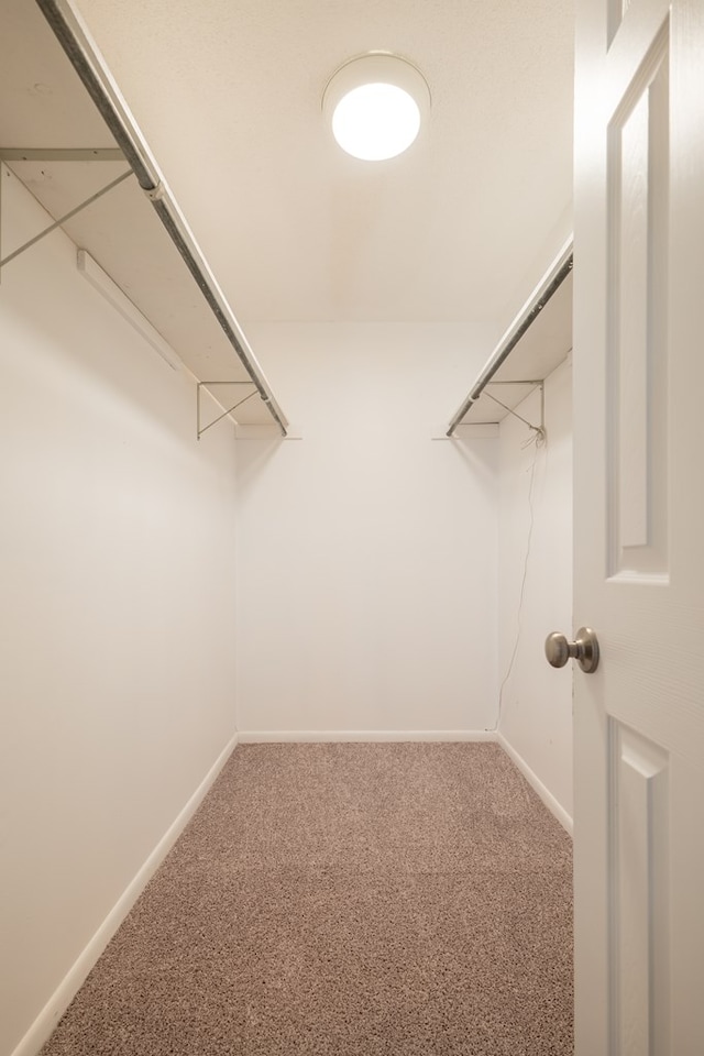 spacious closet with carpet